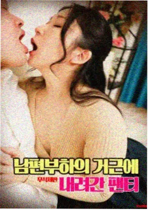 叮咚影视索引片库·候鸟观测站片卡封面